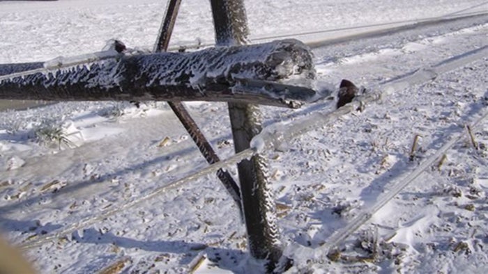 Downed power line in winter