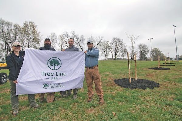 Tree Line USA Award Cover 