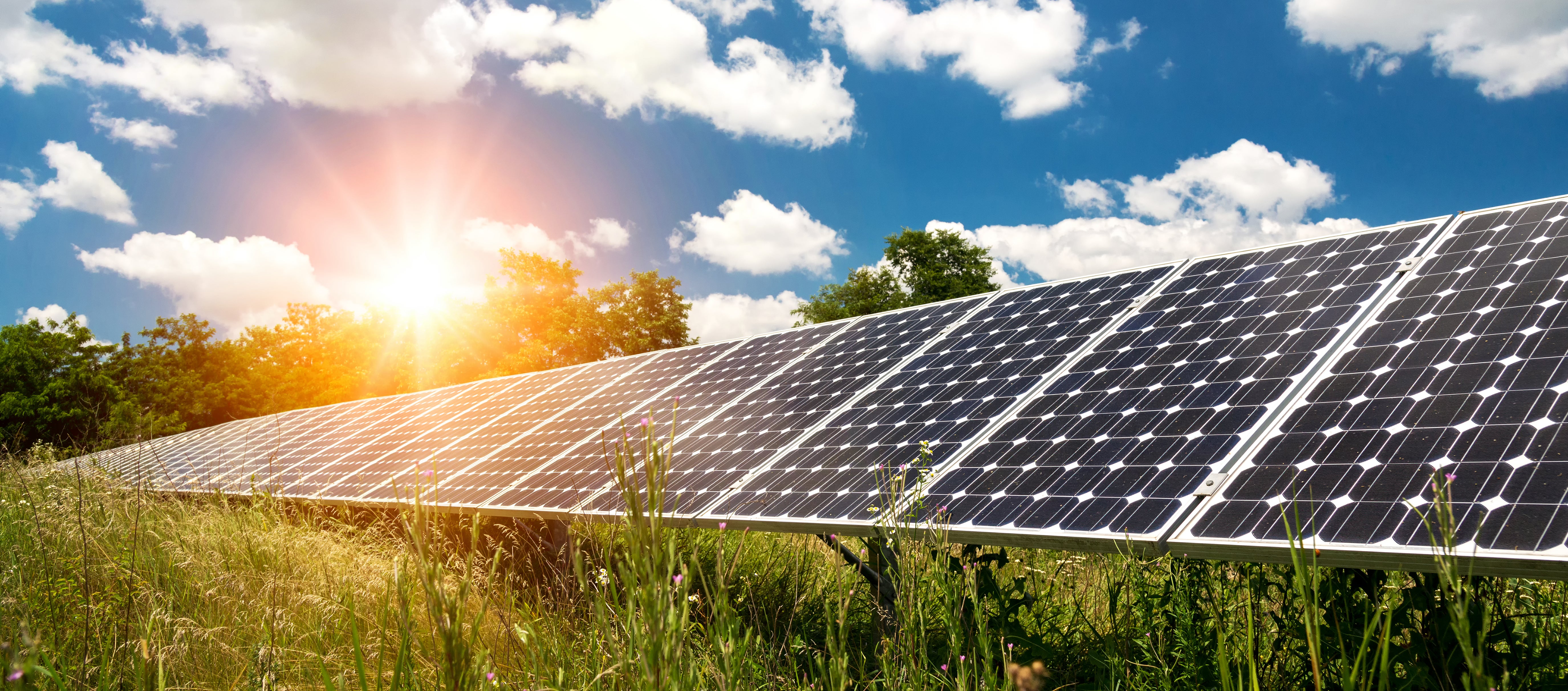 Solar energy available through Cooperative Sunshare