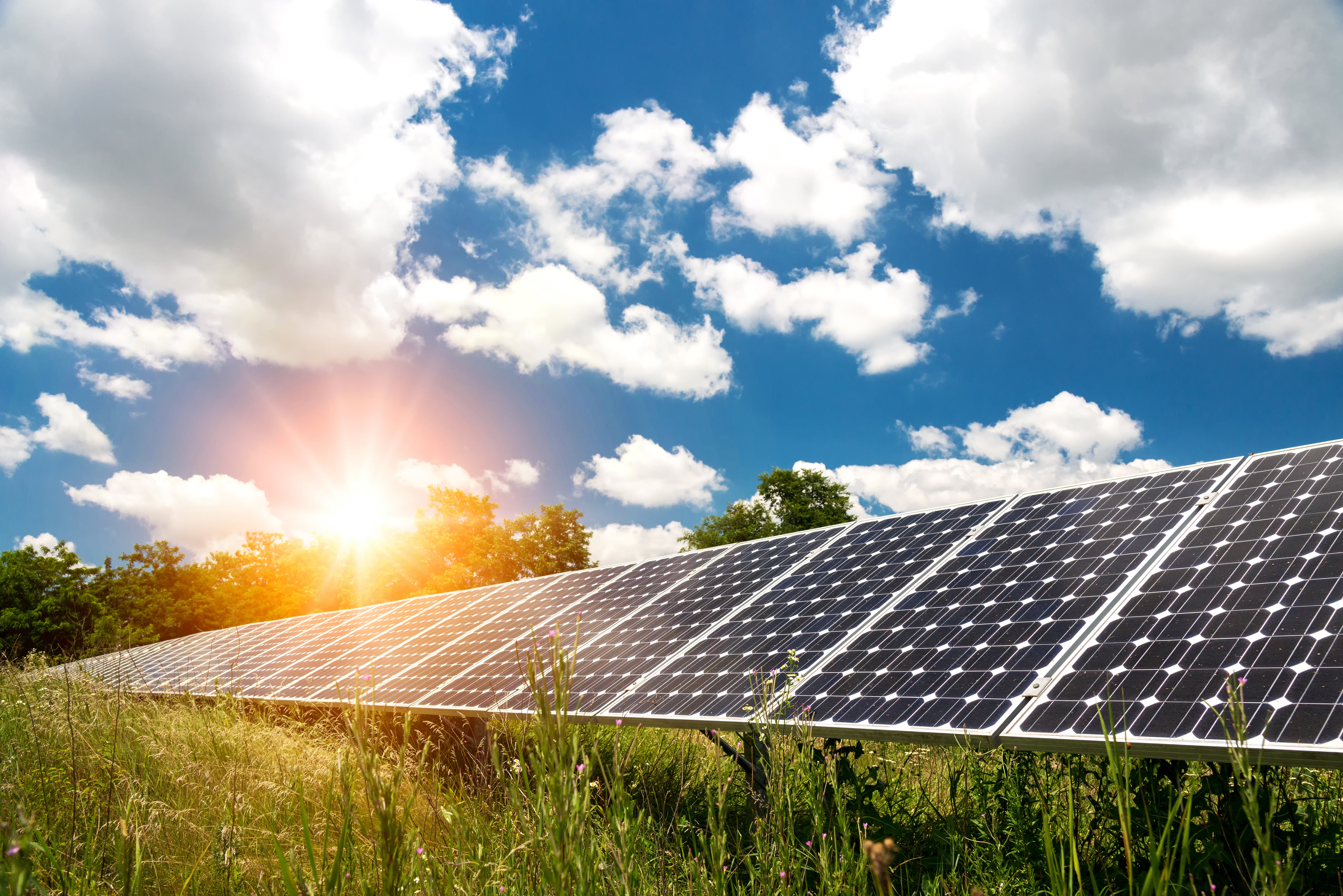 Solar energy available through Cooperative Sunshare