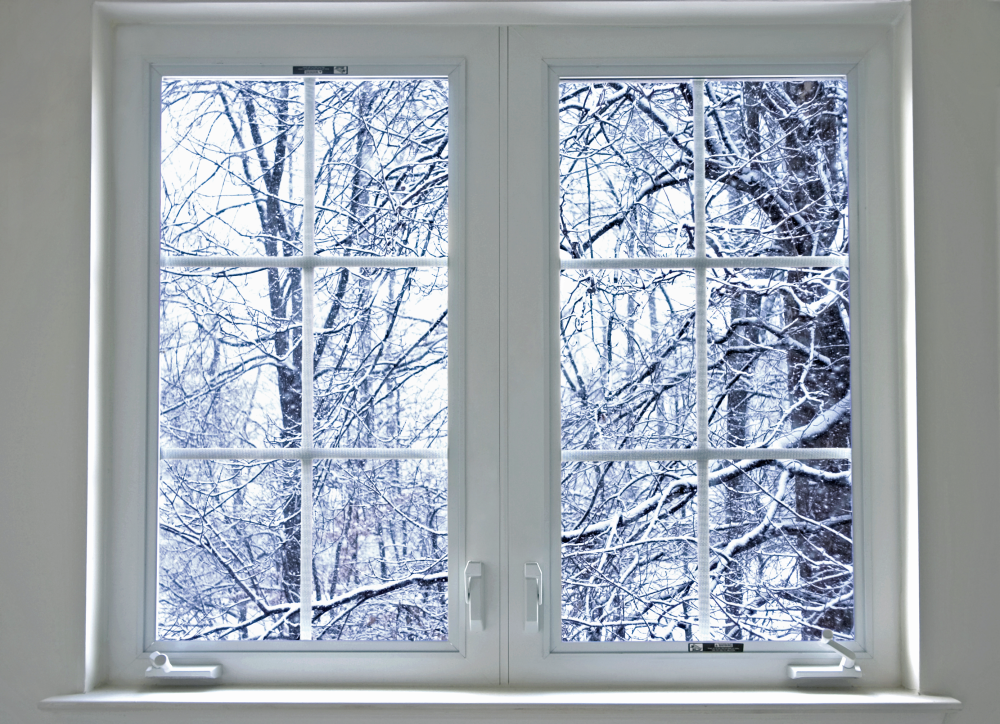 Snowy woods through window