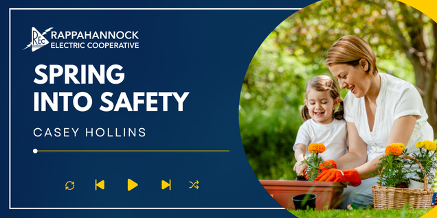 Spring into Safety Banner 
