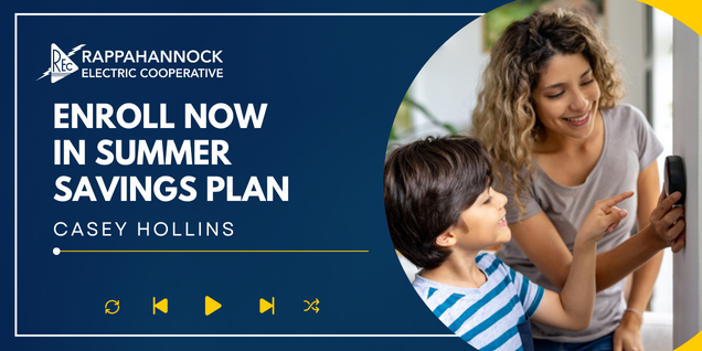 Summer Savings Plan pic