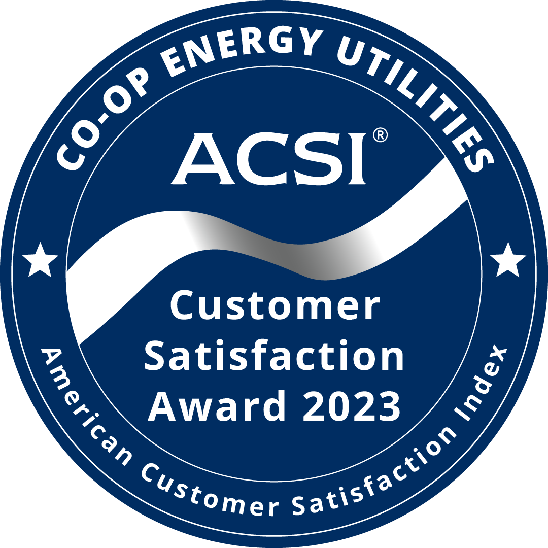 ACSI Customer Satisfaction Award - 2023