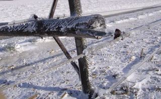 Downed power line in winter