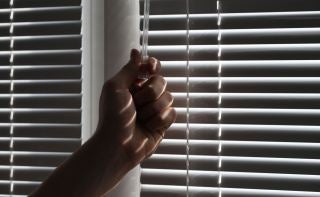 Blinds Cover