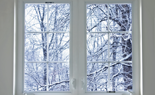 Snowy woods through window