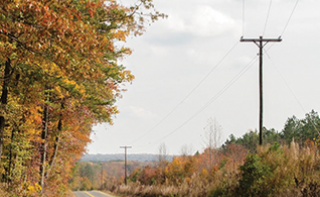 power lines in the fall
