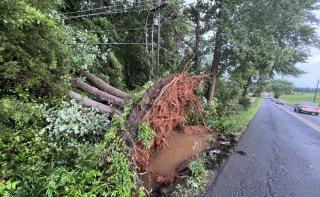 storm damage