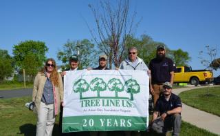 Tree Line USA