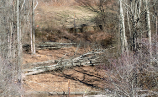 Storm Damage